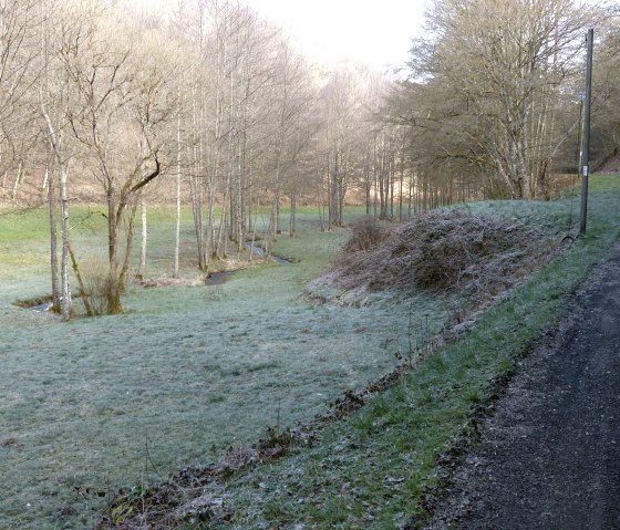 Hiking trail no. 2 and 4 along the M&uuml;hlbach stream, &copy; Tourist-Information Islek
