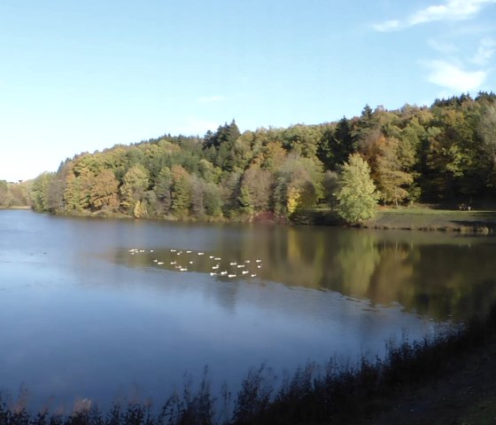 Arzfelder Stausee am Enz-Radweg, &copy; Tourist-Information Islek, Ingrid Wirtzfeld