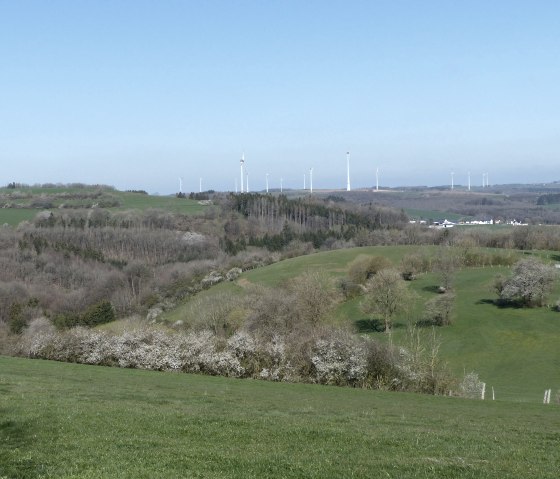 Islekhöhe bij Oberpierscheid, © Tourist-Information Islek