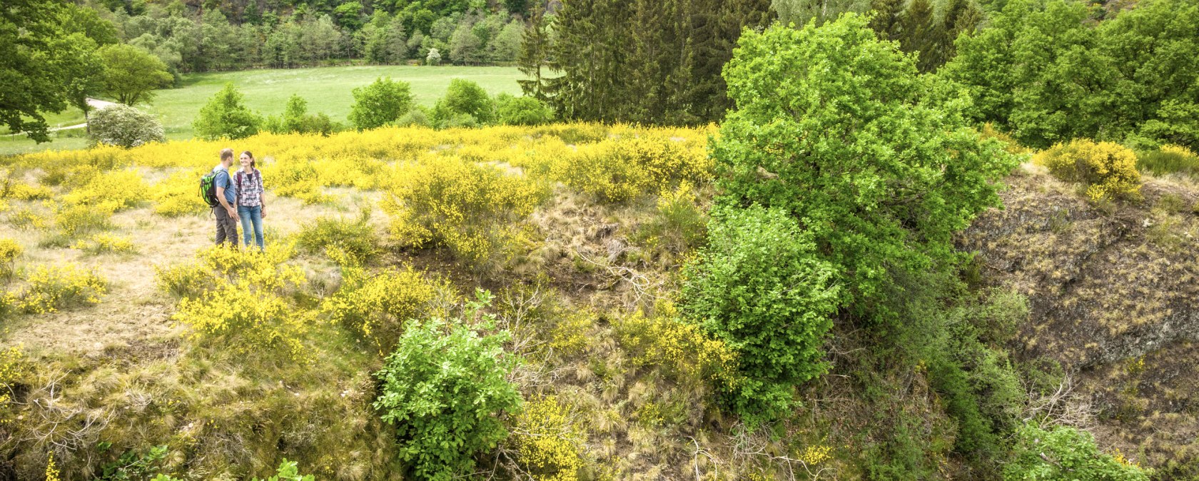 Eifelgold, © Eifel Tourismus GmbH, Dominik Ketz