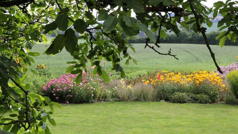 Ein schöner Garten mit bunten Blumen und grünem Rasen. Im Hintergrund erstreckt sich ein Feld unter einem klaren Himmel.