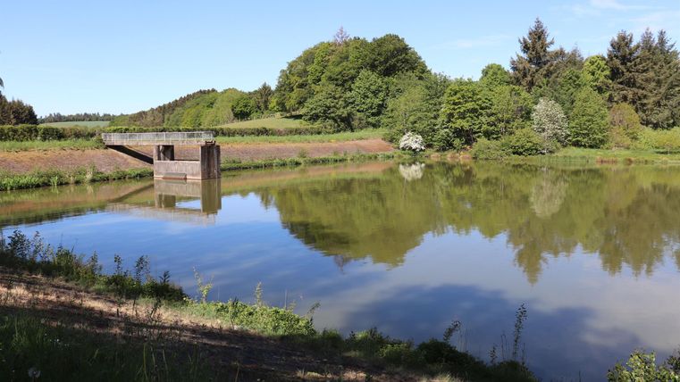 Ein ruhiger See umgeben von Bäumen und Hügeln. Im Hintergrund ist eine kleine Holzbrücke zu sehen.