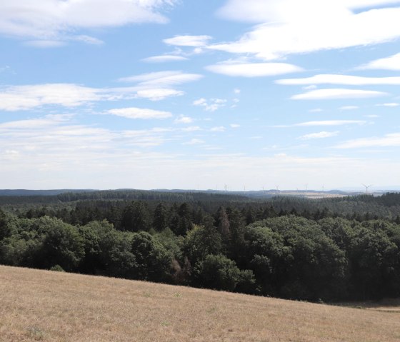 View over the Eifel heights near Pl&uuml;tscheid, &copy; Tourist-Information Islek