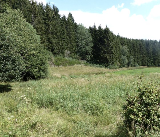 Wanderweg bei der L&uuml;tzk&auml;mper M&uuml;hle