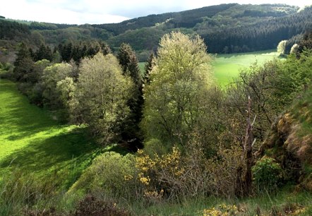 Irsental near Daleiden, © V. Teuschler
