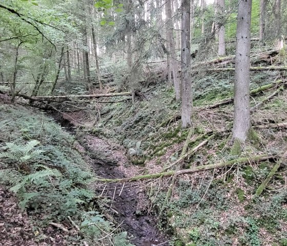 Dierbachtal, &copy; Tourist-Information Islek