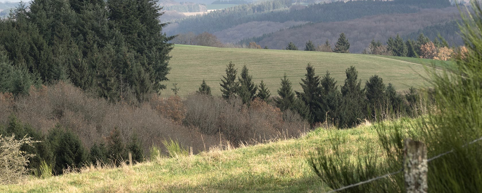 Eifel heights near Arzfeld, © Volker Teuschler