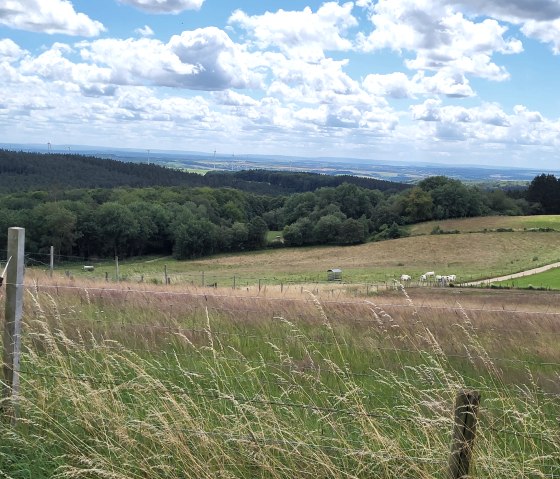 20240707_122533, &copy; Tourist-Information Islek