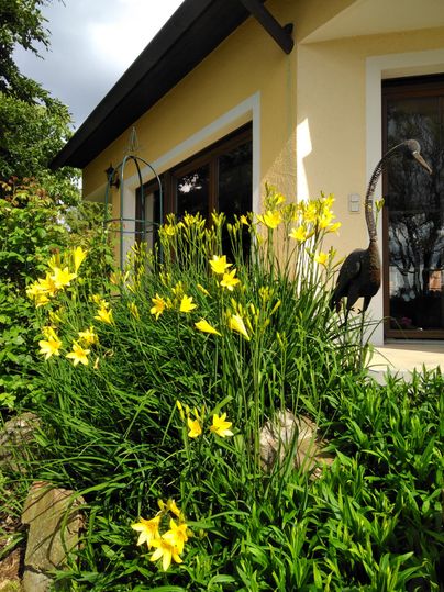 Un jardin avec des fleurs jaunes éclatantes devant une maison lumineuse. À l'arrière-plan, on peut voir des plantes vertes et une statue.