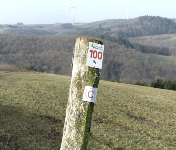 Panoramaweg nr. 100, © Tourist-Information Islek, Ingrid Wirtzfeld