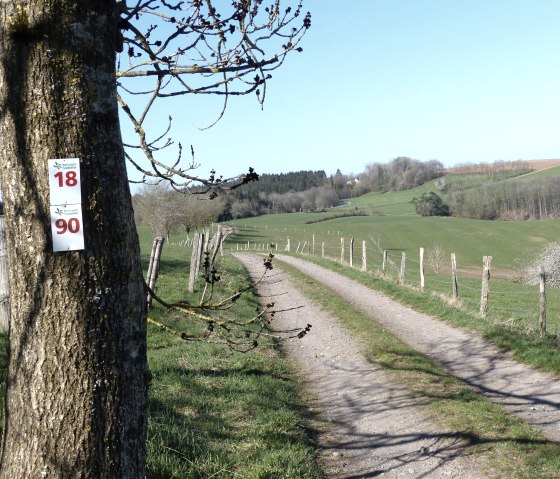 Wandelroute nr. 18 bij Oberpierscheid, © Tourist-Information Islek