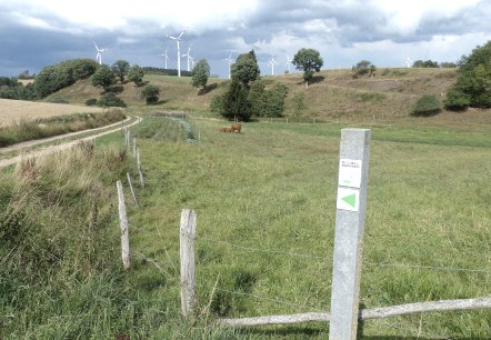 Westwall-Wanderweg bei Kesfeld, © Tourist-Information Islek
