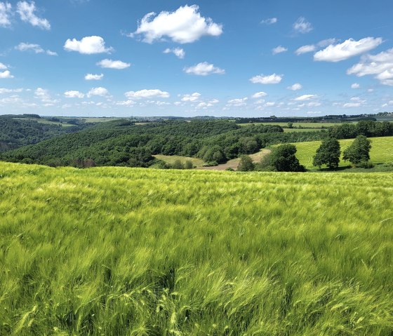 Blick &uuml;ber die Islekh&ouml;hen, &copy; Tourist-Information Islek