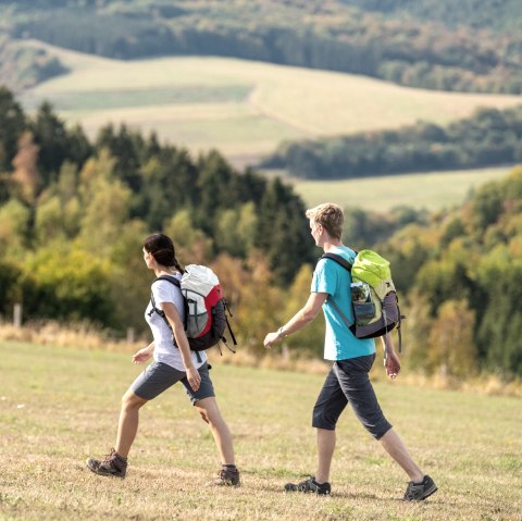 Hikers in nature, © Eifel Tourismus GmbH, Dominik Ketz
