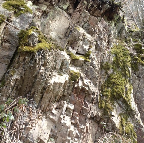 Rots, © Tourist-Information Islek