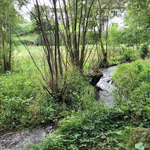 Weiherbach, © Tourist-Information Islek