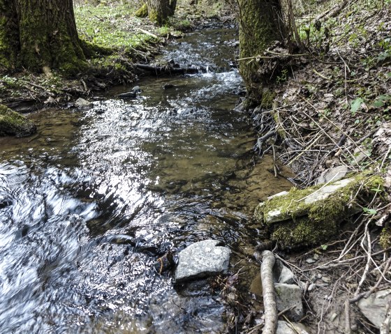 Mandelbach, &copy; Fritz Knob