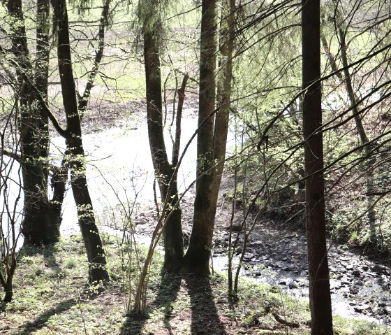 M&uuml;hlbach estuary, &copy; Tourist-Info Islek