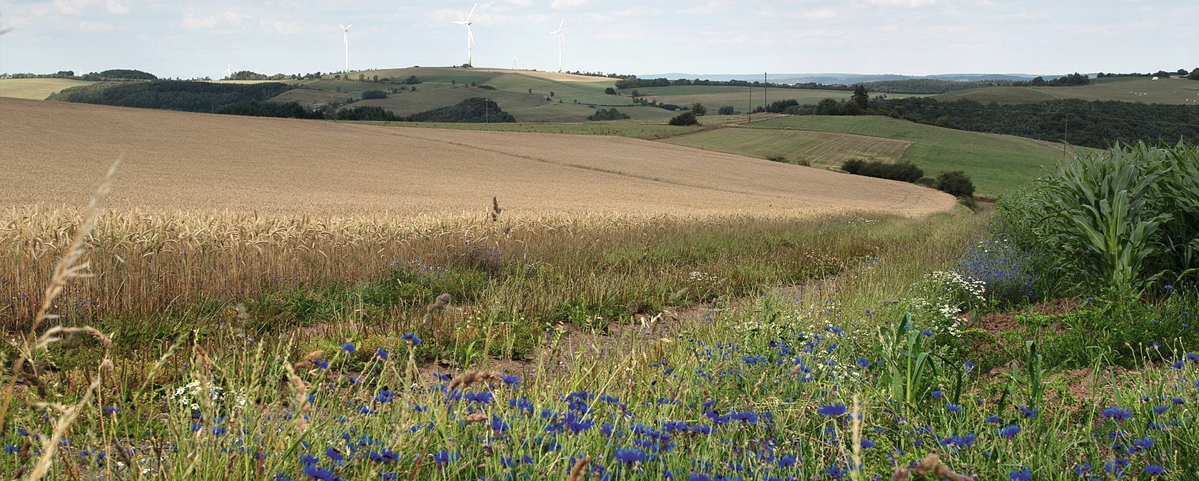 Eifel hoogten, © Volker Teuschler