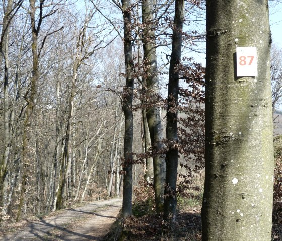 Teilst&uuml;ck Wanderweg Nr. 87, &copy; Tourist-Info Islek