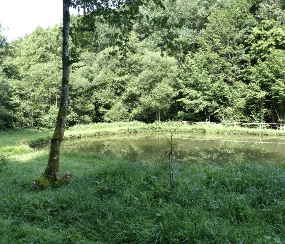 Fishing pond, © Tourist-Information Islek