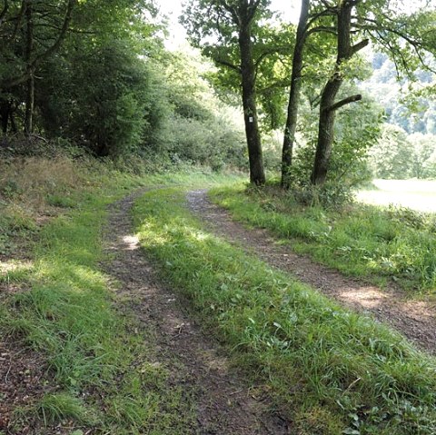 Hiking trail in the Our valley, &copy; V. Teuschler