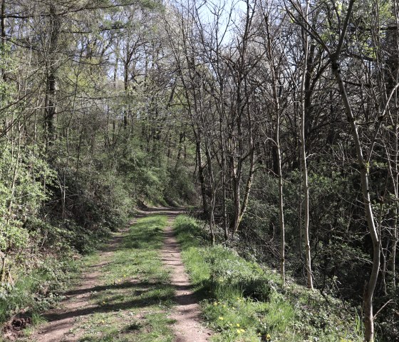 Wanderweg 100, &copy; Tourist-Info Islek