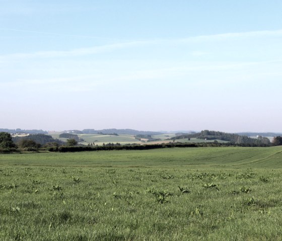 Uitzicht richting Lützkampen, © Tourist-Information Islek