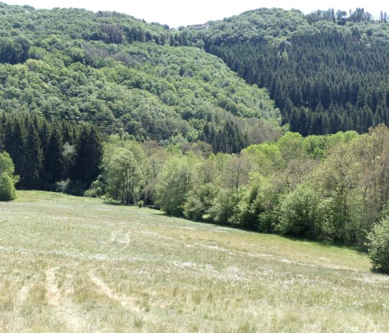 Hiking trail no. 15 near Irrhausen, © Tourist-Info islek