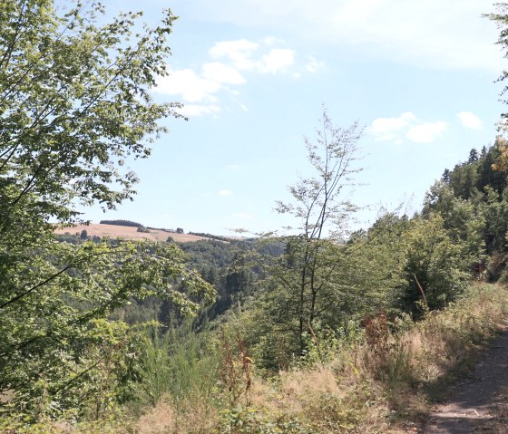 Wandelpad met ver uitzicht over de Irsental vallei, © Tourist-Information Islek