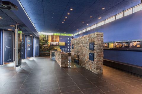Ein moderner Ausstellungsraum mit blauen Wänden und einer Steinsäule. Der Raum ist gut beleuchtet und bietet Platz für verschiedene Informationsstände.