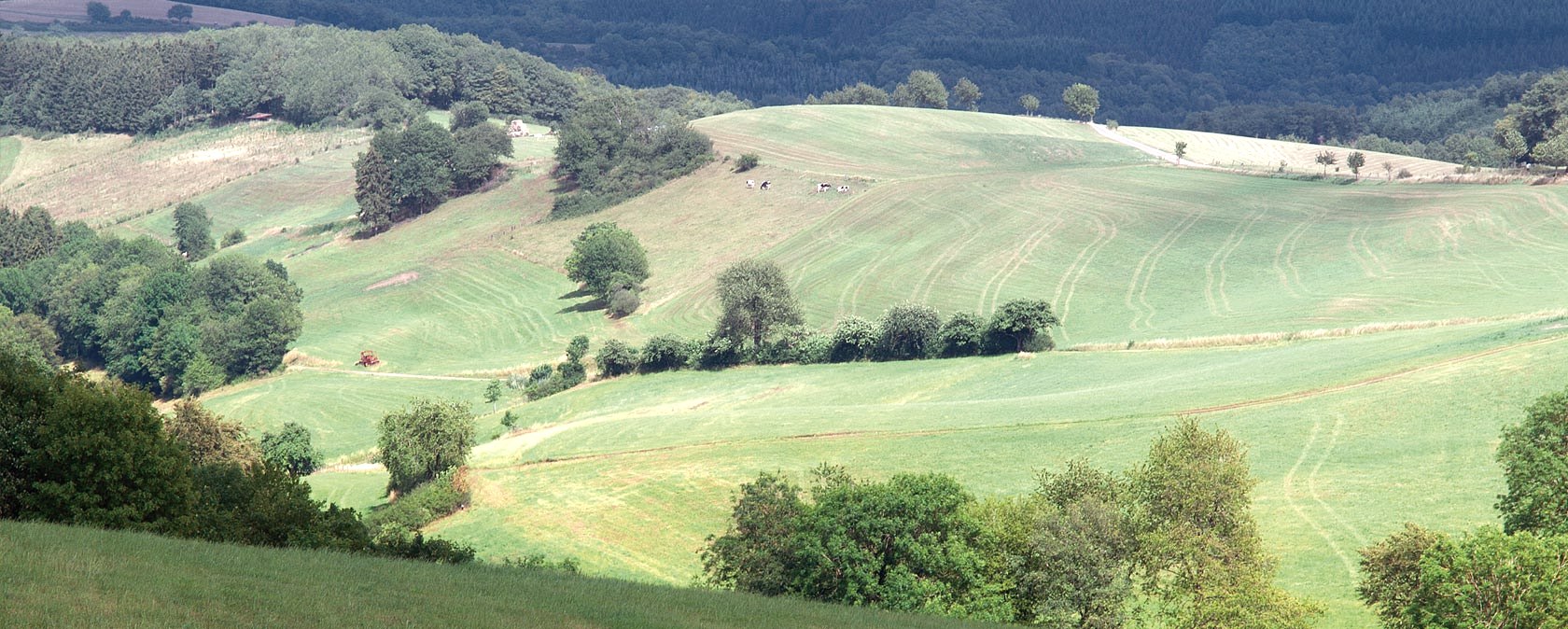 Eifel heights near Plütscheid, © V. Teuschler