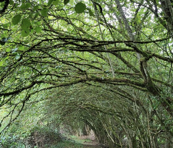 20230927_093013, &copy; Tourist-Information Islek