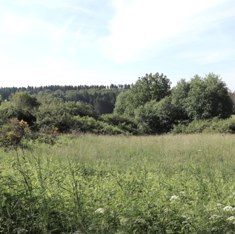 Irsental, &copy; Tourist-Information Islek