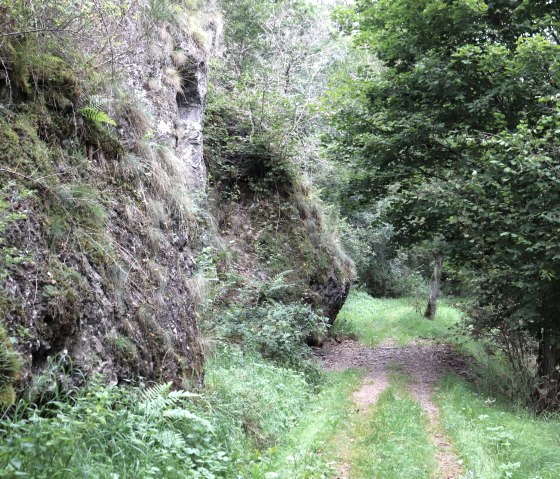 Nordic Walking Route, &copy; Tourist-Information Islek