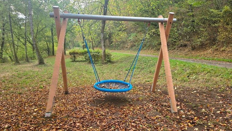 Een hangtrein in een parkachtige bosgebied, omringd door kleurrijk herfstblad. Het schommelframe is gemaakt van hout en metaal en is goed zichtbaar.