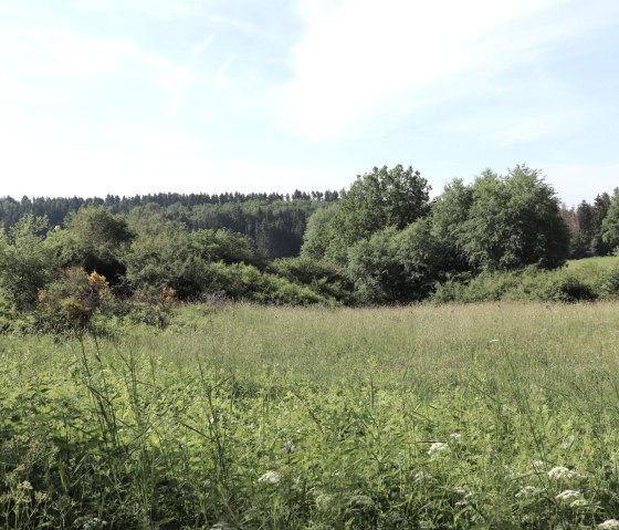 Irsental, &copy; Tourist-Information Islek