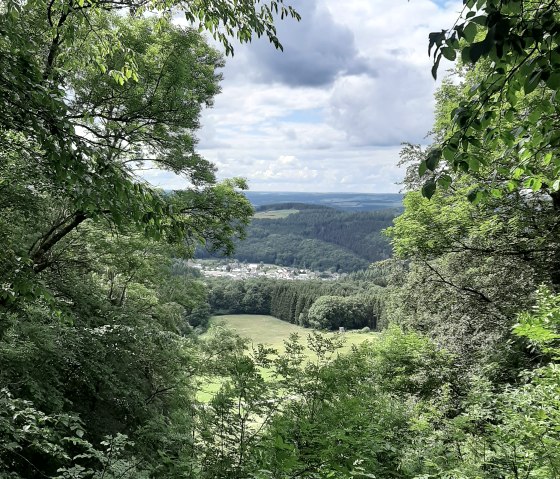 Blick durch dichte Bäume auf eine grüne Landschaft mit einem Dorf im Hintergrund. Der Himmel ist teils bewölkt, teils blau., © TI Hocheifel-Nürburgring