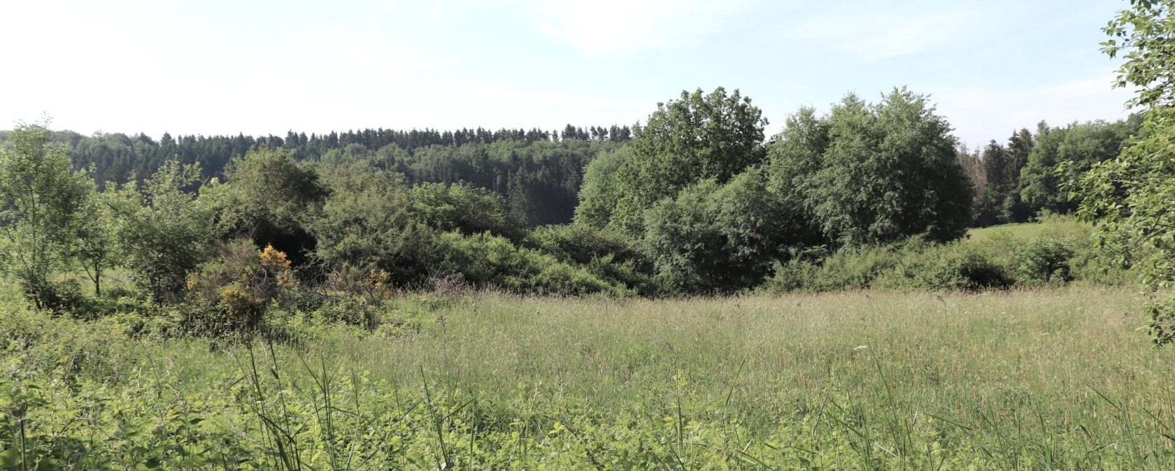 Irsental, &copy; Tourist-Information Islek