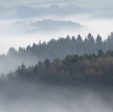 Uitzicht over het Irsental