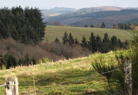 Eifel heights near Arzfeld, © Volker Teuschler