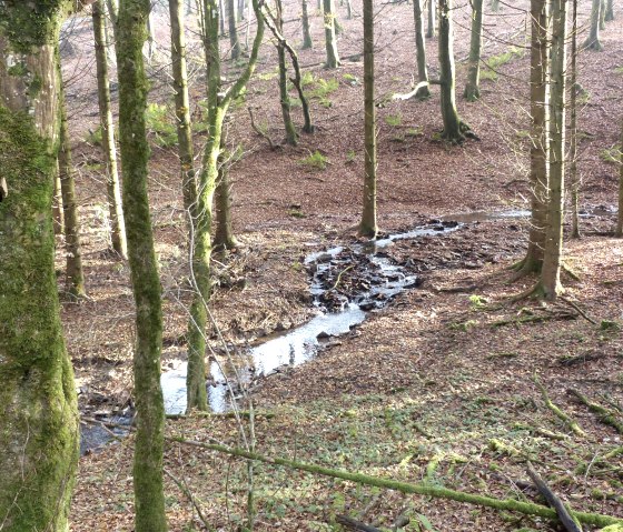 Millstream, © Tourist-Information Islek