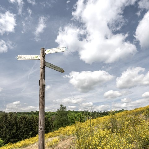 Wegweiser NaturWanderPark delux, &copy; Eifel Tourismus GmbH, Dominik Ketz