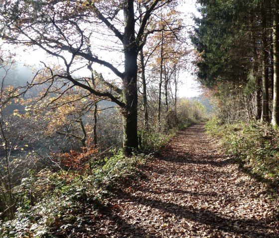 Wandelpad nr. 87 in de herfst, © Tourist-Information Islek