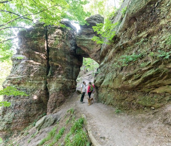 Nieuwsgierige rots: de Hindenburger Tor bij Nideggen, © Eifel Tourismus GmbH, AR-shapefruit AG