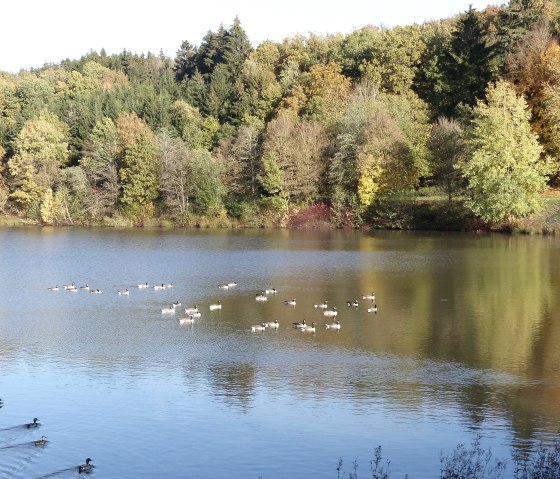 Stausee Arzfeld, © Tourist-Information Islek
