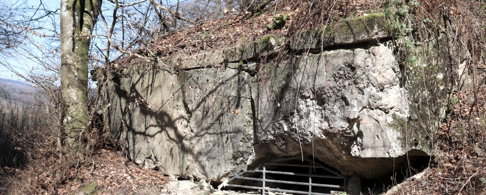 Bunkerru&iuml;nes, &copy; Tourist-Information Islek