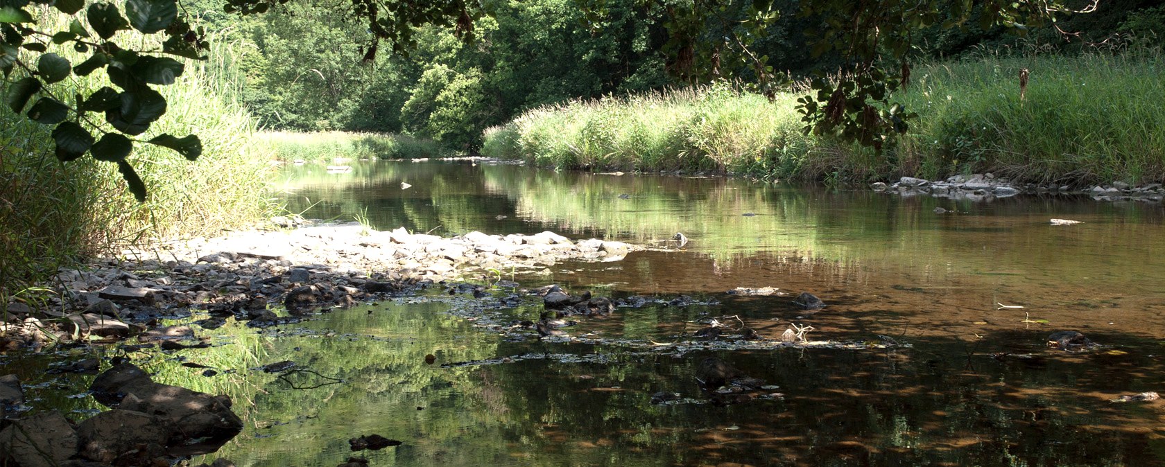 Die Pr&uuml;m bei Waxweiler, &copy; V. Teuschler