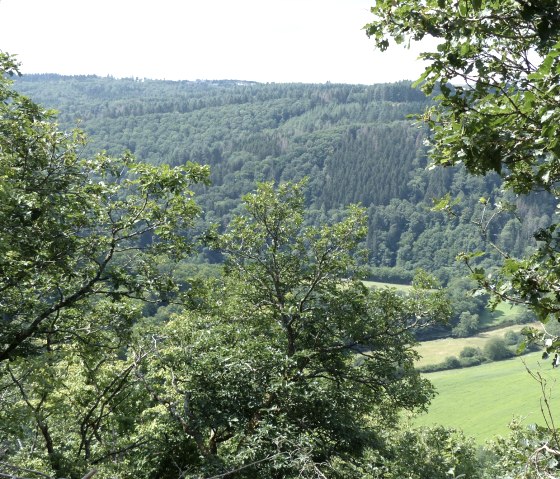Prümtal uitzicht vanaf wandelroute nr. 19, © Tourist-Info Islek