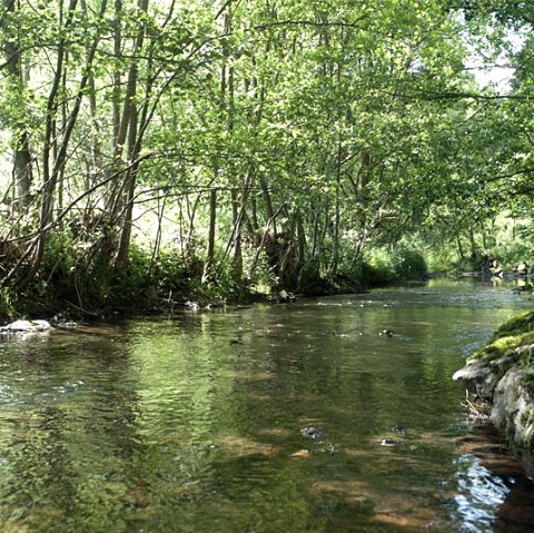 Op de Heinmbach bij Daleiden